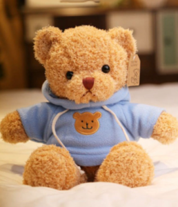 Teddy bear deals wearing hoodie